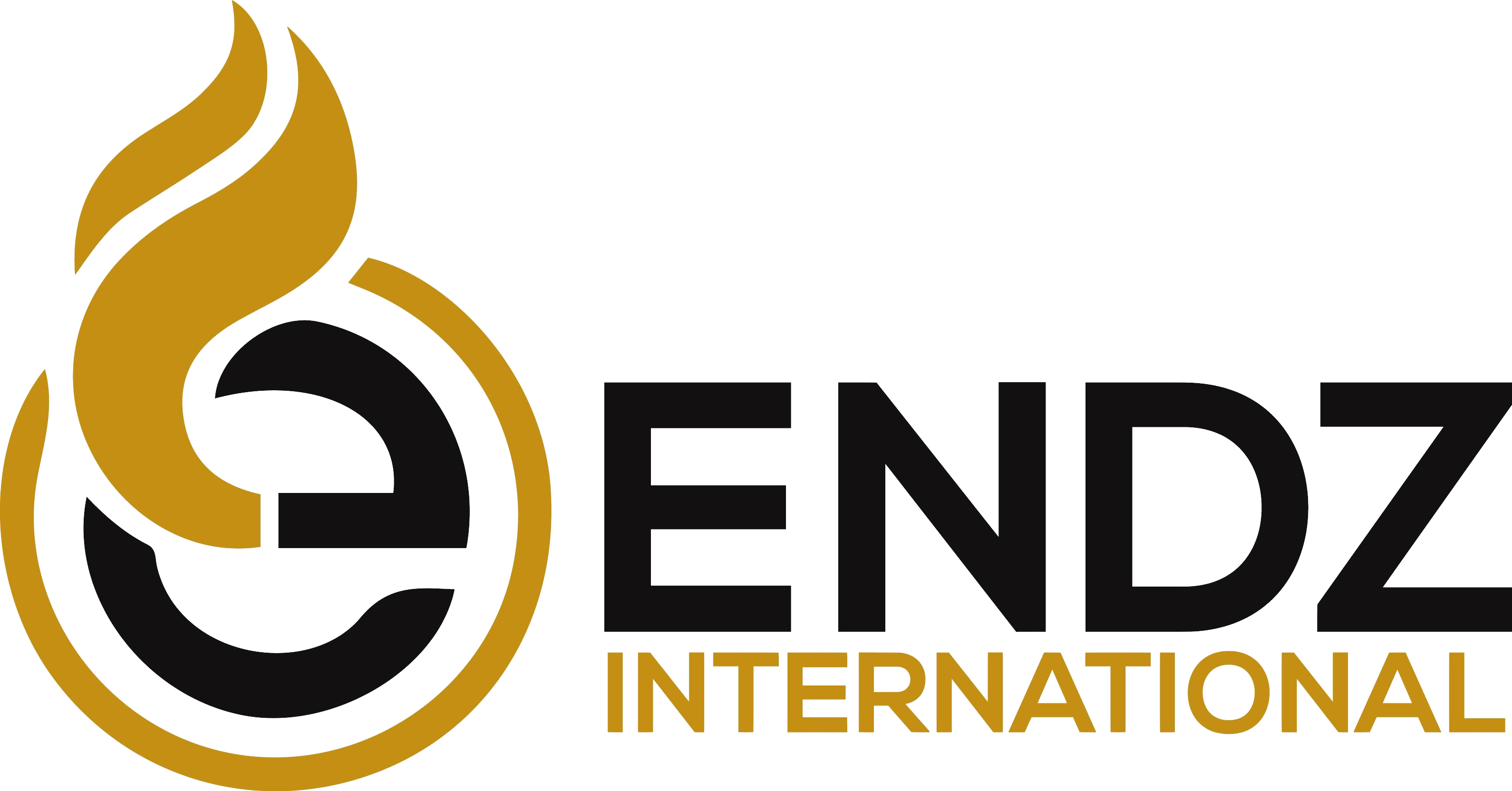 Endz International Logo